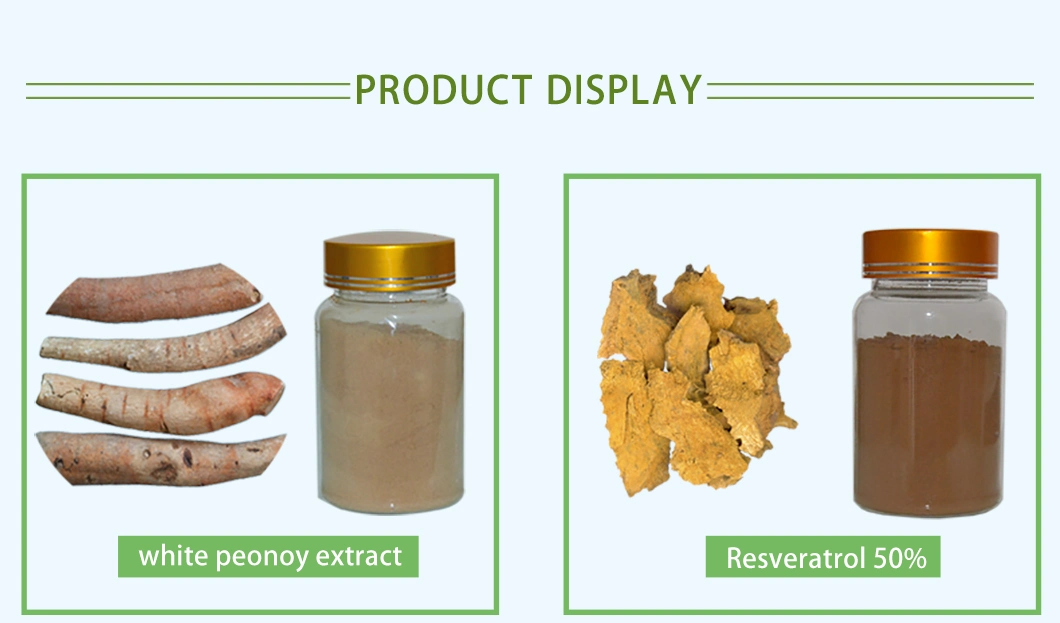 Wholesale Price Customized Platycodon Grandiflorum Extract 5: 1